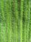 Groene Verdraaide van de de Stoffenzak van Vouwenoxford Natte de Zwabberstootkussens 14*48 van Microfiber