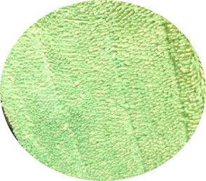 Het groene verdraaide 13*47-hoofd van de zwabberstootkussens van de vouwensteek microfiber natte schoonmakende