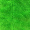 De Schoonmakende Doek Groene Coral Fleece 30x30 van Microfiber van het polyesterpolyamide