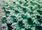 De groene Vlakke Zwabber van het de Stoffenstof van Jacquardmicrofiber voor Hardhoutvloeren 5“ x 24“